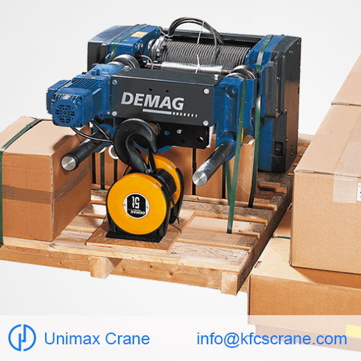 Wire rope hoist crane